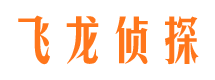 平顶山出轨调查